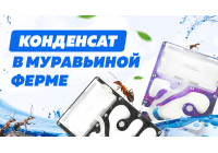Почему появляется конденсат в муравьиной ферме и как его убрать Почему появляется конденсат в муравьиной ферме и как его убрать