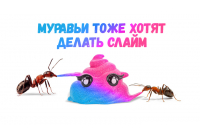 Ого! Смотри, как муравьи отреагируют на слайм Ого! Смотри, как муравьи отреагируют на слайм