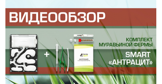 Видеообзор муравьиной фермы Мини "Антрацит"