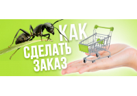 Как сделать заказ в интернет-магазине "Мистер Ант" Как сделать заказ в интернет-магазине "Мистер Ант"